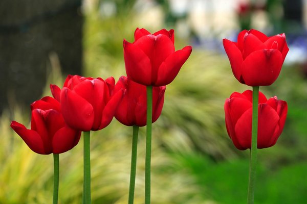 Your Complete Guide to Challenging a Parking Ticket in Manchester: Steps for 2023